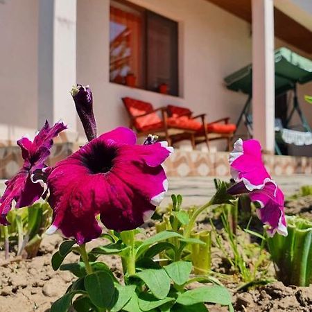 Willa Casa Caraua Greci Zewnętrze zdjęcie